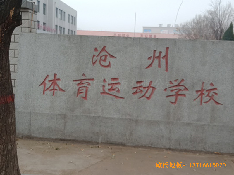 ӱwW(xu)@^wľذO(sh)0